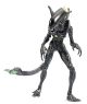 Alien vs Predator - Blowout Alien Warrior PX Figur