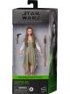 Star Wars The Black Series - Princess Leia / Ewok Village