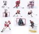 NHL Figuren Serie IV (12 Figuren)