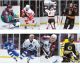 NHL Figuren Serie IX (12 Figuren)