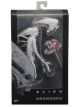 Alien Covenant - Neomorph Alien Actionfigur