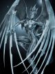 Vertical Deck Armor Cyber Angel