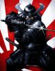 Nobunaga (Samurei) Protectors