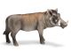 SCHLEICH - Wild Life, Warzenschwein Eber