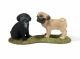 SCHLEICH - Farm Life, Mops Welpen