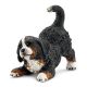 SCHLEICH - Hunde, Berner Sennenhund Welpe