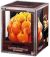 One Piece TCG - Devil Fruits Collection Vol. 2 (EN)