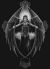 Dark Angel Protectors