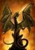 4 Pocket Portfolio Fire Breather Dragon