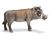 SCHLEICH - Wild Life, Warzenschwein Eber