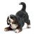 SCHLEICH - Hunde, Berner Sennenhund Welpe