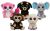The Beanie Boo's Collection - 5er Set A - 15cm