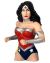 DC New 52 Wonder Woman Bust Bank (Spardose)